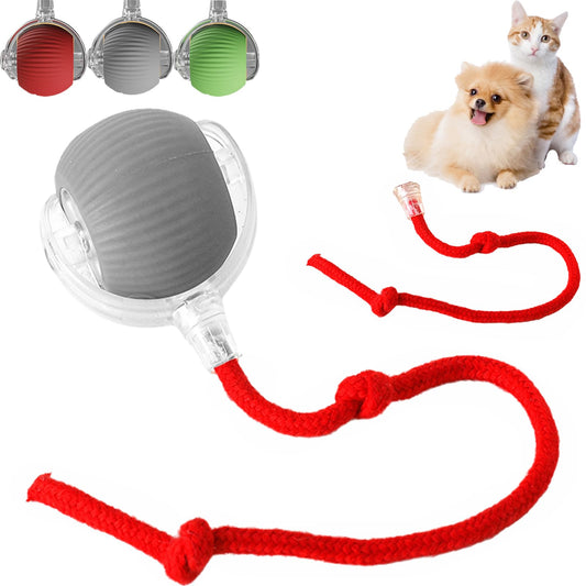 Interactive Dog Ball Electric Rolling Ball (Grey) → "Grey electric rolling ball dog toy for automatic interactive play"